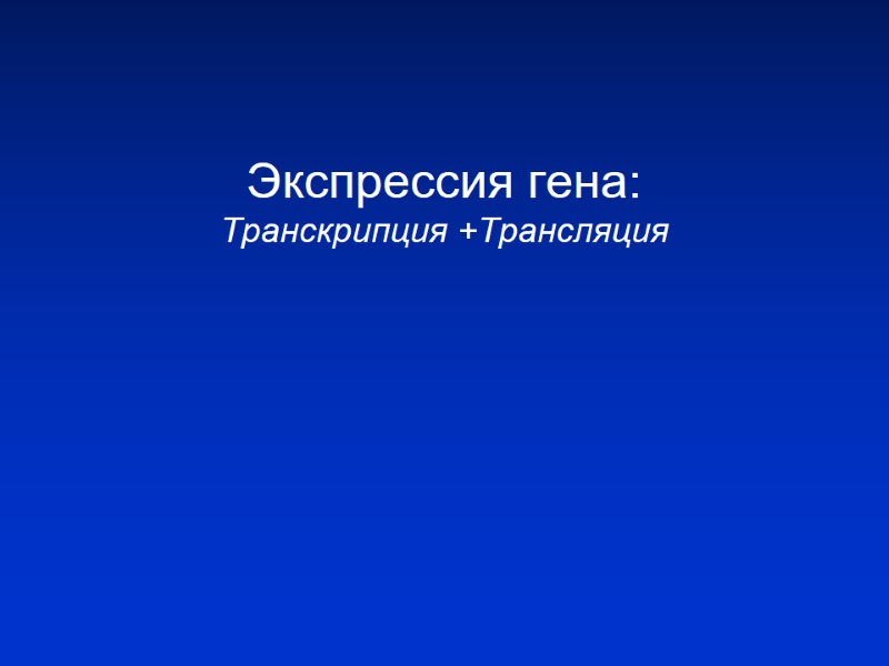 Экспрессия гена: Транскрипция +Трансляция Экспрессия гена: Транскрипция +Трансляция